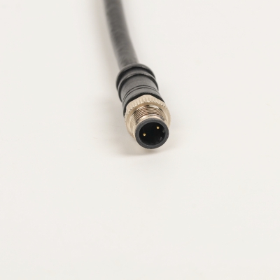 M12 A code 2pins male straight plug cable